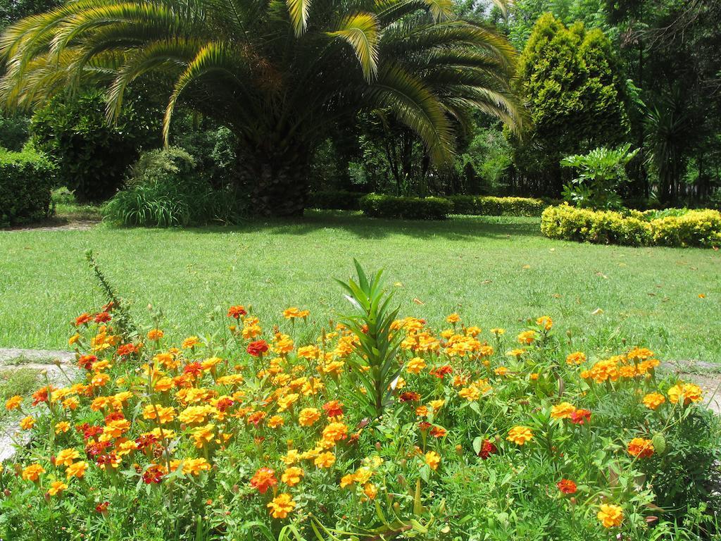 No Meio Da Natureza - Turismo No Espaco Rural วีลาโนวา เจ ฟามาลีเกา ภายนอก รูปภาพ