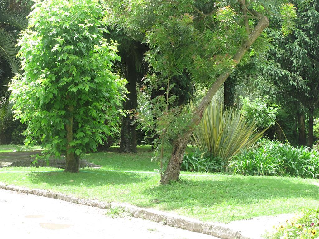 No Meio Da Natureza - Turismo No Espaco Rural วีลาโนวา เจ ฟามาลีเกา ภายนอก รูปภาพ