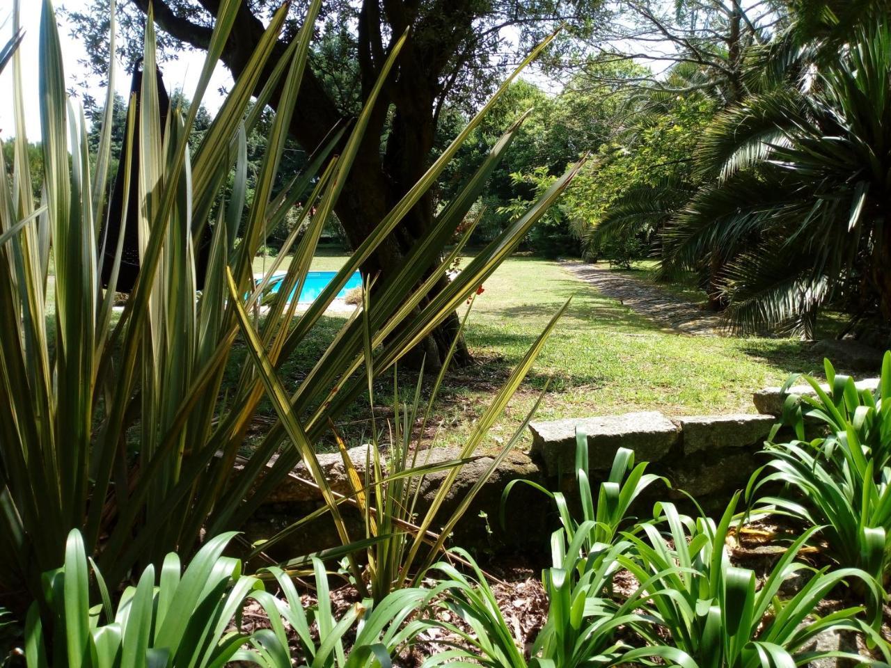 No Meio Da Natureza - Turismo No Espaco Rural วีลาโนวา เจ ฟามาลีเกา ภายนอก รูปภาพ